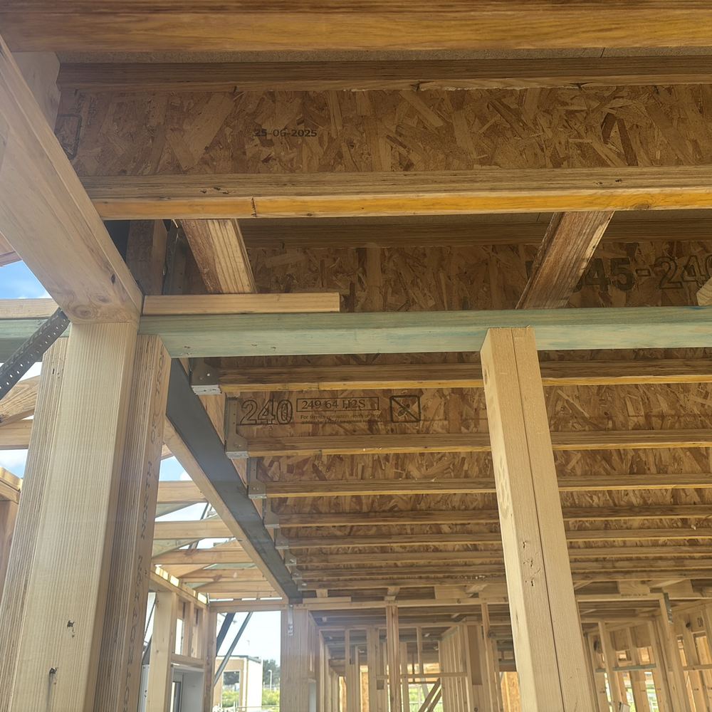 Frame inspection in Kalkallo
